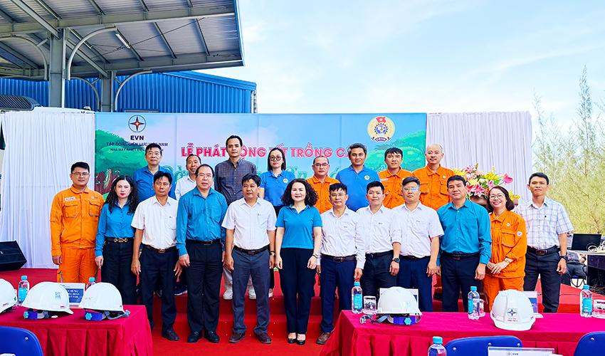 Vĩnh Tân 4: gieo mầm xanh trên vùng đất nắng gió khô cằn – khởi động Lễ phát động 