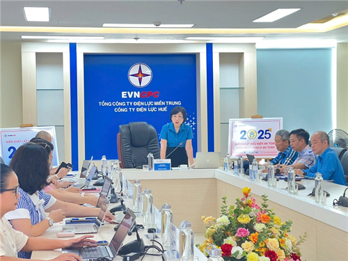 Kiểm tra việc chấp hành điều lệ và quản lý, sử dụng tài chính, tài sản Công đoàn Công ty Điện lực Huế
