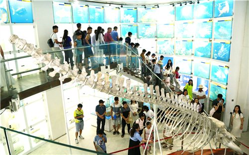 Gia đình CBCNV tiêu biểu và học sinh xuất sắc EVN trải nghiệm thực tế tại Quảng Ninh