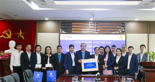 Công đoàn Điện lực Việt Nam triển khai kế hoạch chăm lo Tết Đinh Mùi 2027 cho đoàn viên, người lao động