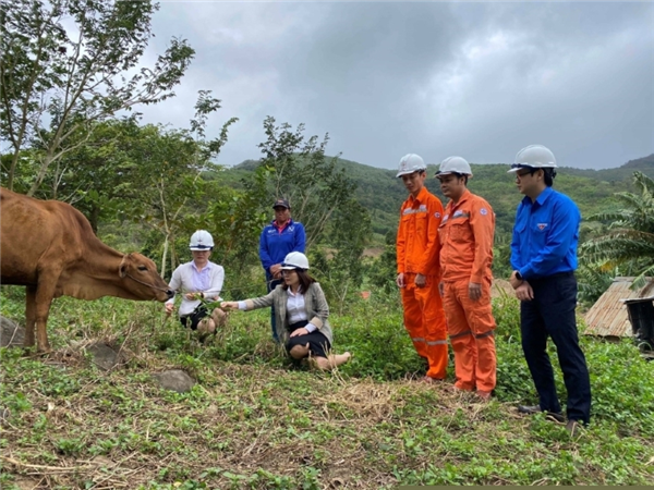 Niềm vui trên vùng núi cao xã Phước Tân, huyện Sơn Hòa