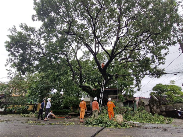 EVNHANOI triển khai 100% quân số khẩn trương khắc phục hậu quả sau cơn bão số 3