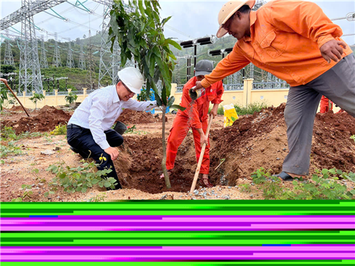 Trồng cây xanh tại trạm OPY 500kV Công ty thủy điện Ialy
