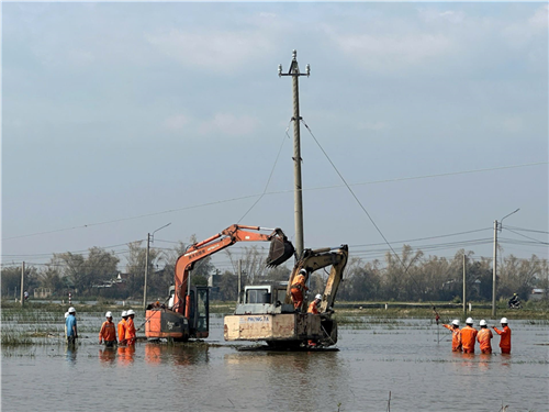 Giữa ruộng nước mênh mông – nơi những người thợ điện dựng lại niềm tin sau bão số 13