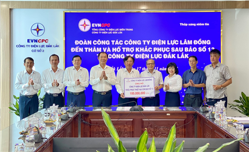 Công ty Điện lực Lâm Đồng hỗ trợ Công ty Điện lực Đắk Lắk và Gia Lai khắc phục thiệt hại sau bão số 13