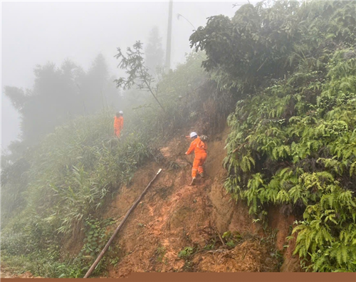 Công ty Điện lực Lào Cai đóng điện 30 trạm biến áp trước thềm Tết nguyên đán Bính Ngọ 2026