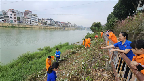 Chung tay bảo vệ môi trường – Kiến tạo không gian làm việc xanh, sạch, đẹp
