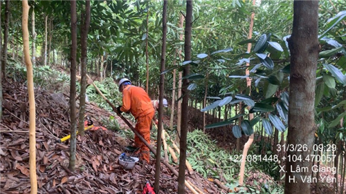 Điện lực Văn Yên giảm thiểu nguy cơ mất an toàn HLLĐ, đảm bảo an toàn điện trong nhân dân