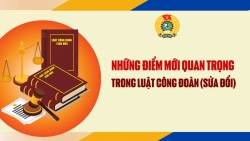 Những điểm mới quan trọng trong Luật Công đoàn (sửa đổi)