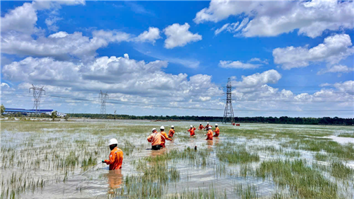 PHÁT ĐỘNG HƯỞNG ỨNG THÁNG HÀNH ĐỘNG VỀ AN TOÀN, VỆ SINH LAO ĐỘNG NĂM 2026