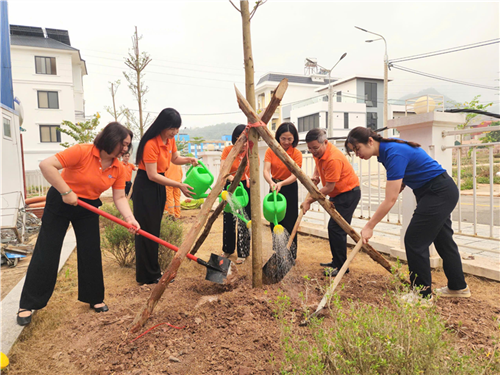 Công ty Điện lực Sơn La phát động Tết trồng cây “Đời đời nhớ ơn Bác Hồ” năm 2026