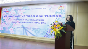 Bà Nguyễn Kim Thanh, Phó Chủ tịch Công đoàn Điện lực VN phát biểu tại buổi lễ