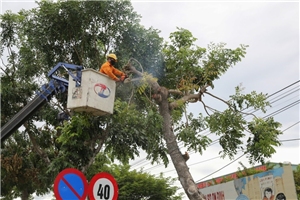 08 Công nhân Điện lực Hòa Vang triển khai phát hành lang tuyến ngay trong ngày 01.8 để cấp điện ổn định cho Bệnh viện dã chiến Hòa Vang