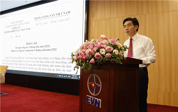 Phó Bí thư Thường trực Đảng ủy EVN Nguyễn Hữu Tuấn trình bày Báo cáo tại Hội nghị