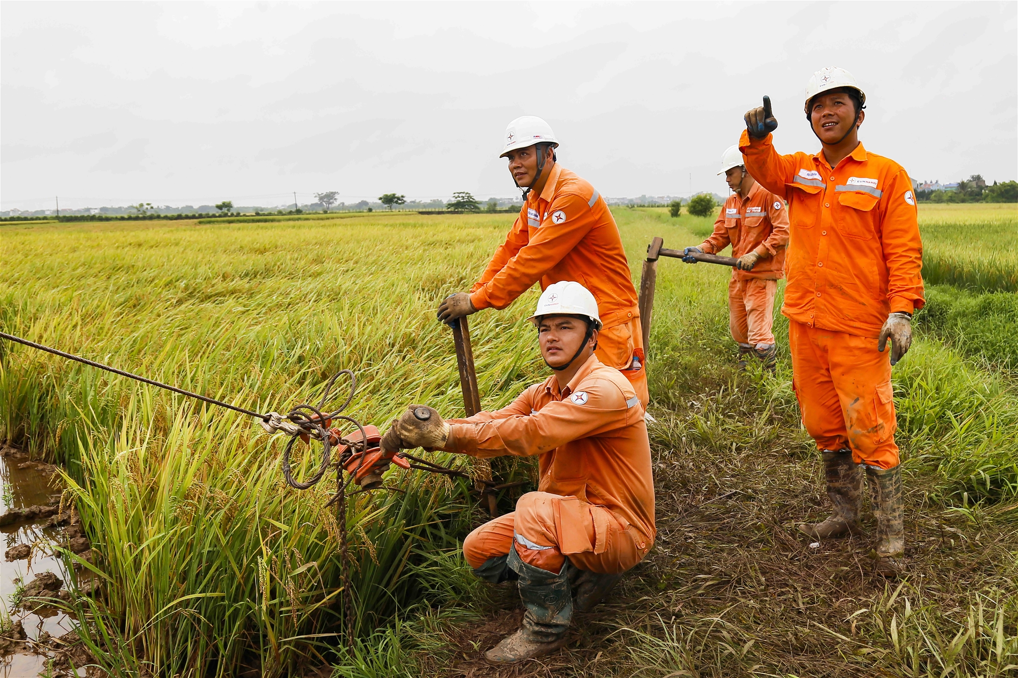 Tổ quốc gọi tên các anh lên đường 6