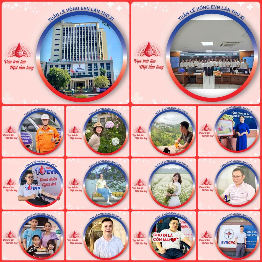 Công ty Điện lực Quảng Trị hướng tới Tuần lễ hồng EVN lần thứ XI 2