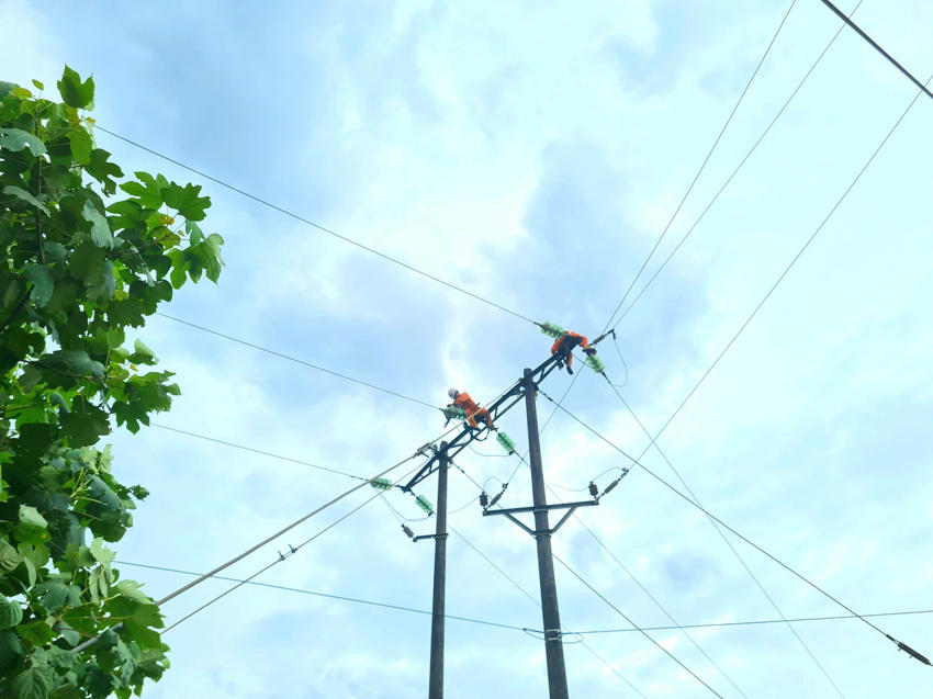 Để mùa xuân sáng hơn 4