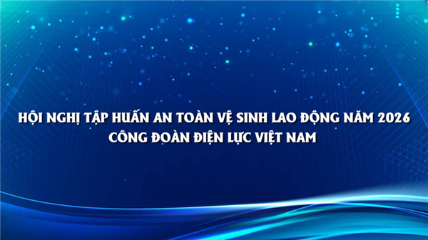 Công đoàn Điện lực Việt Nam tổ chức Hội nghị tập huấn An toàn vệ sinh lao động năm 2026